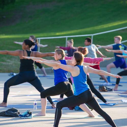 Group of students during a yoga session outside.